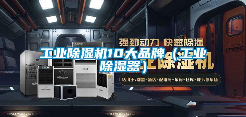 工業(yè)除濕機(jī)10大品牌(工業(yè)除濕器)