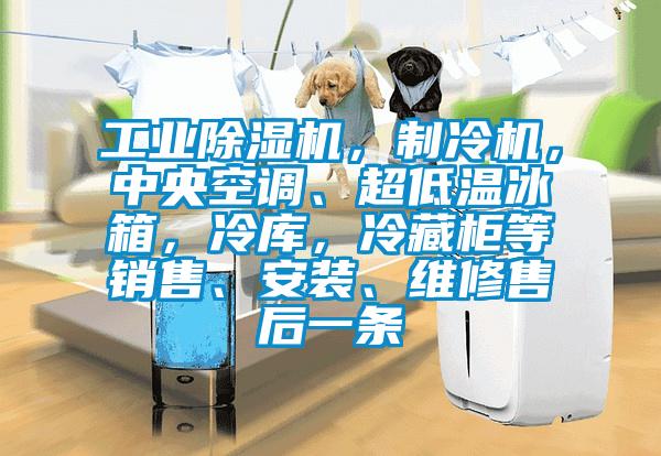 工業除濕機，制冷機，中央空調、超低溫冰箱，冷庫，冷藏柜等銷售、安裝、維修售后一條