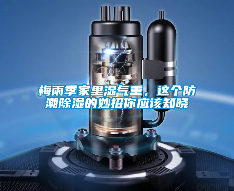 梅雨季家里濕氣重,這個(gè)防潮除濕的妙招你應(yīng)該知曉