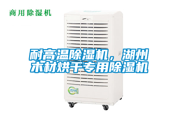 耐高溫除濕機(jī)，湖州木材烘干專用除濕機(jī)