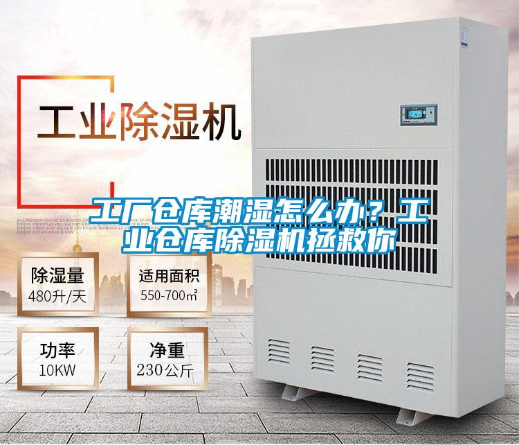 工廠倉庫潮濕怎么辦?工業(yè)倉庫除濕機(jī)拯救你