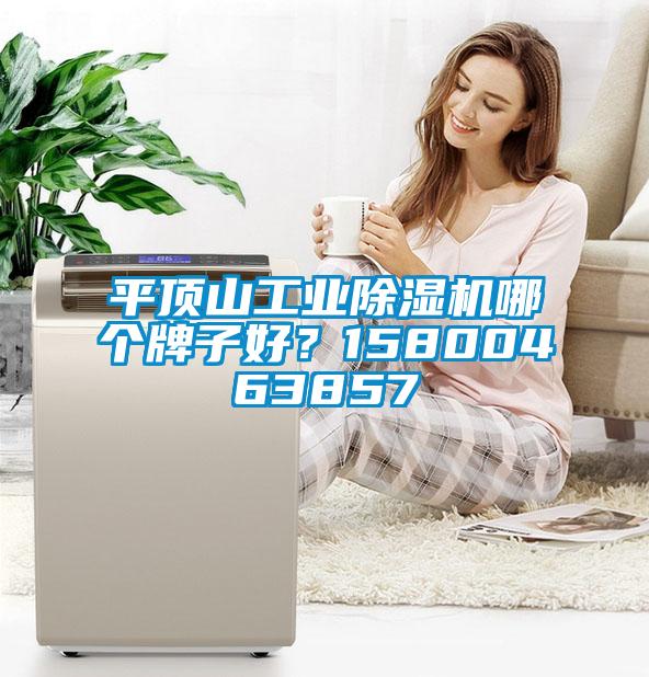 平頂山工業(yè)除濕機(jī)哪個(gè)牌子好？15800463857