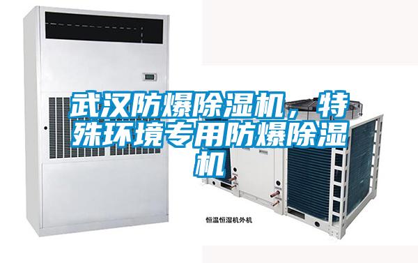 武漢防爆除濕機，特殊環(huán)境專用防爆除濕機