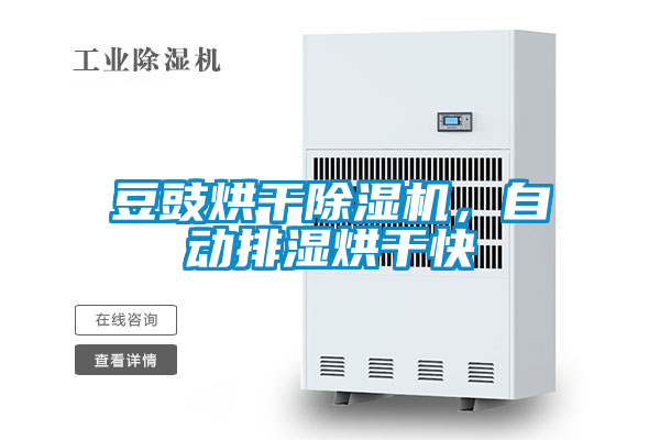 豆豉烘干除濕機,自動排濕烘干快