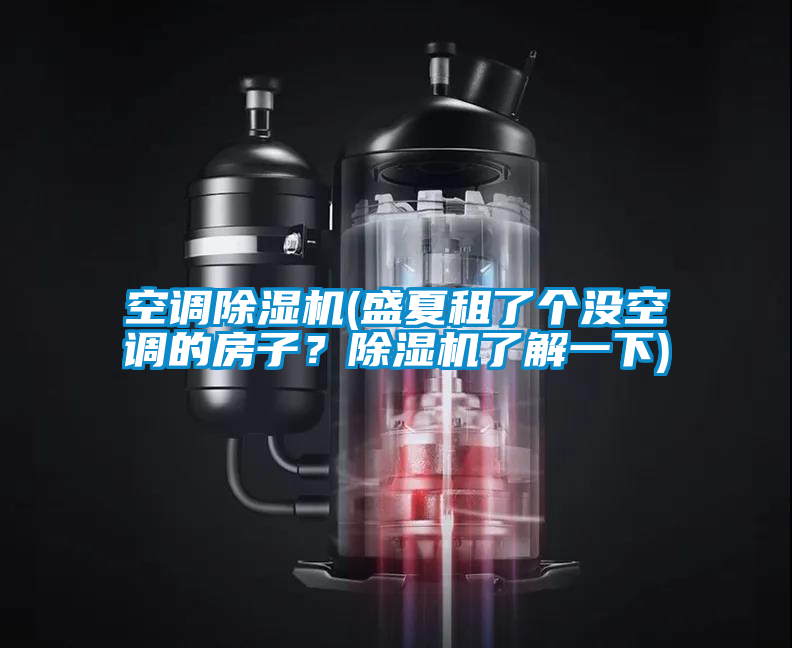 空調(diào)除濕機(jī)(盛夏租了個沒空調(diào)的房子？除濕機(jī)了解一下)