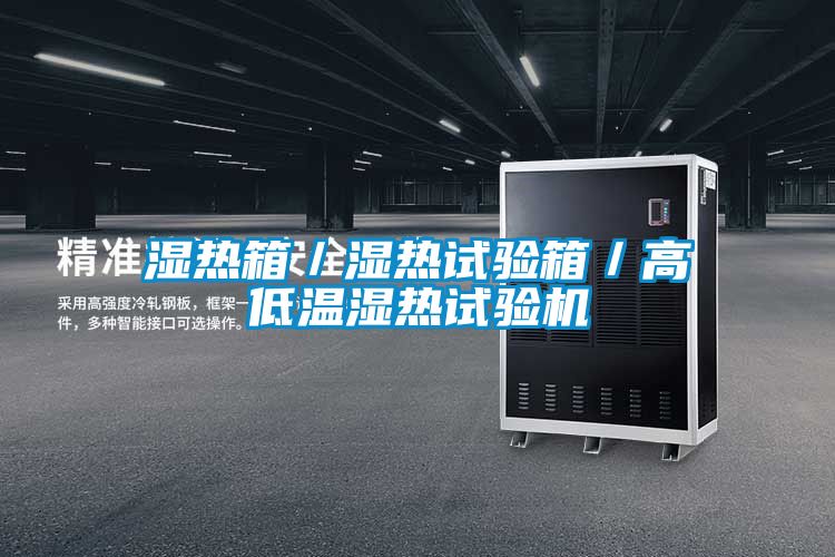 濕熱箱/濕熱試驗(yàn)箱/高低溫濕熱試驗(yàn)機(jī)