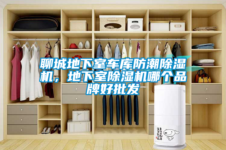 聊城地下室車庫防潮除濕機(jī)，地下室除濕機(jī)哪個品牌好批發(fā)