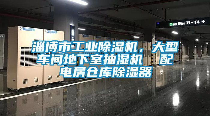 淄博市工業(yè)除濕機(jī)，大型車(chē)間地下室抽濕機(jī)  配電房倉(cāng)庫(kù)除濕器
