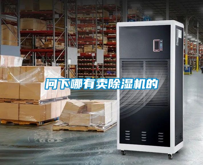 問(wèn)下哪有賣(mài)除濕機(jī)的