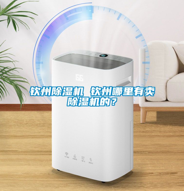 欽州除濕機 欽州哪里有賣除濕機的？
