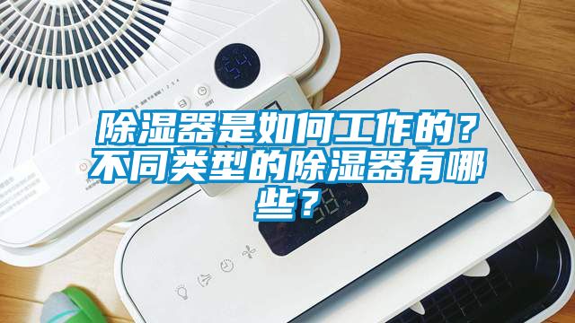 除濕器是如何工作的？不同類型的除濕器有哪些？
