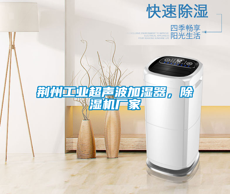荊州工業(yè)超聲波加濕器,除濕機廠家