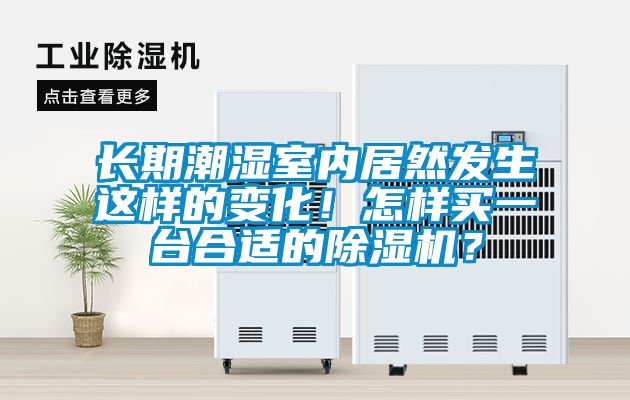 長(zhǎng)期潮濕室內(nèi)居然發(fā)生這樣的變化！怎樣買一臺(tái)合適的除濕機(jī)？