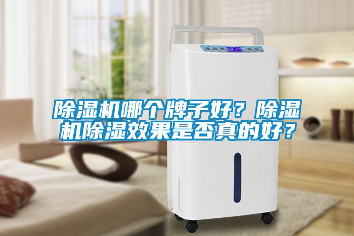 除濕機(jī)哪個(gè)牌子好？除濕機(jī)除濕效果是否真的好？