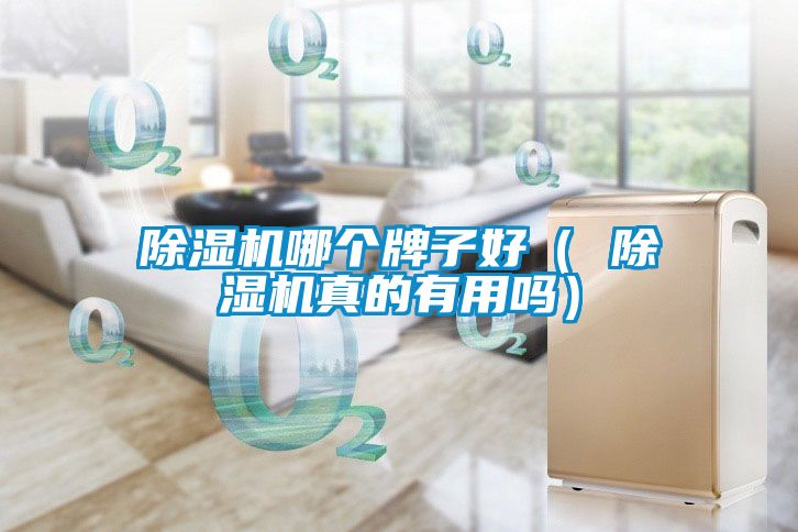 除濕機(jī)哪個牌子好（ 除濕機(jī)真的有用嗎）