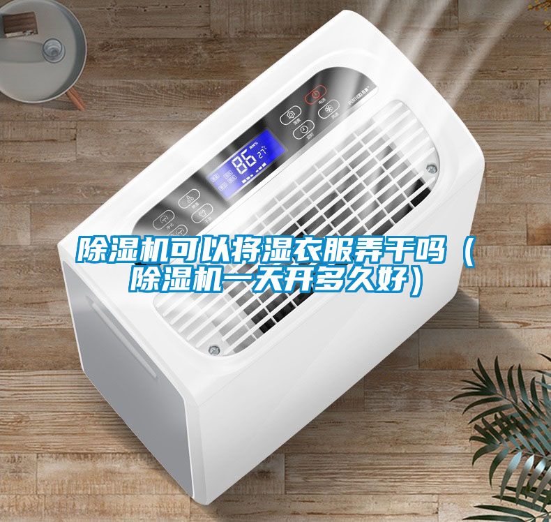 除濕機(jī)可以將濕衣服弄干嗎（除濕機(jī)一天開(kāi)多久好）