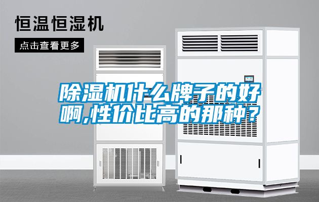 除濕機(jī)什么牌子的好啊,性?xún)r(jià)比高的那種？
