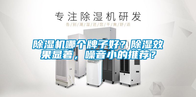 除濕機(jī)哪個牌子好？除濕效果顯著，噪音小的推薦？