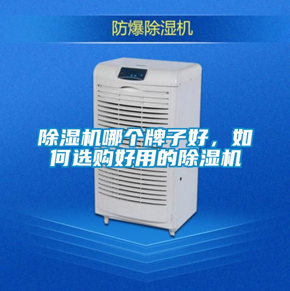 除濕機(jī)哪個牌子好，如何選購好用的除濕機(jī)