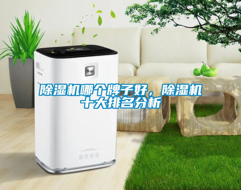 除濕機(jī)哪個牌子好，除濕機(jī)十大排名分析