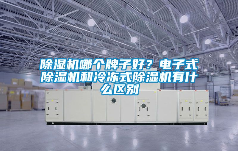 除濕機(jī)哪個牌子好？電子式除濕機(jī)和冷凍式除濕機(jī)有什么區(qū)別