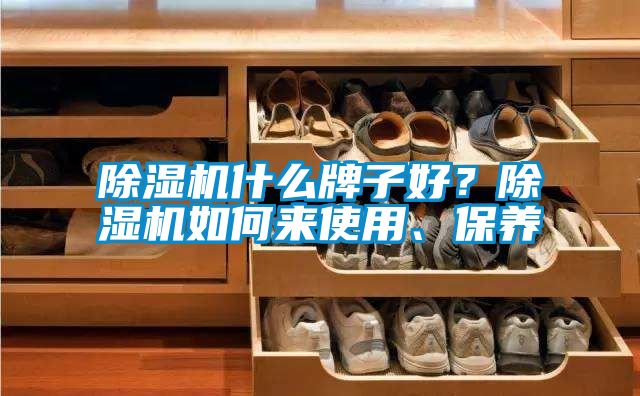 除濕機(jī)什么牌子好？除濕機(jī)如何來(lái)使用、保養(yǎng)