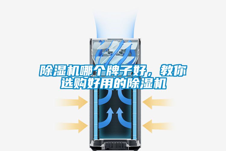 除濕機(jī)哪個牌子好，教你選購好用的除濕機(jī)
