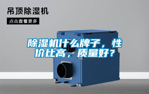 除濕機什么牌子，性價比高，質量好？