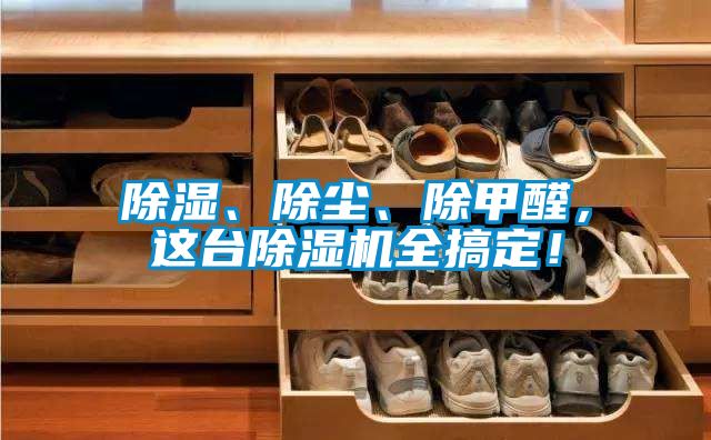 除濕、除塵、除甲醛，這臺除濕機全搞定！
