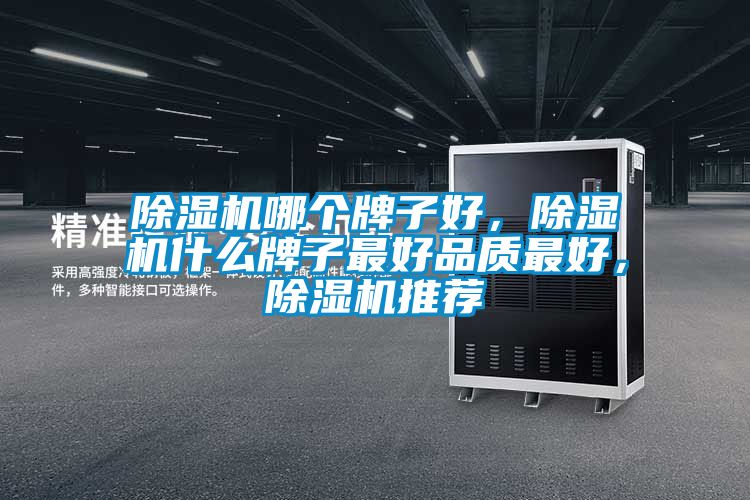 除濕機(jī)哪個牌子好，除濕機(jī)什么牌子最好品質(zhì)最好，除濕機(jī)推薦