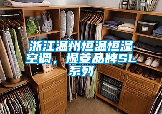 浙江溫州恒溫恒濕空調，濕菱品牌SL系列
