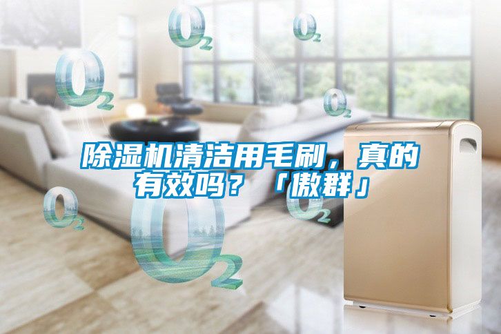 除濕機清潔用毛刷，真的有效嗎？「傲群」