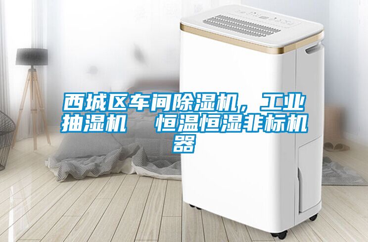 西城區車間除濕機，工業抽濕機  恒溫恒濕非標機器