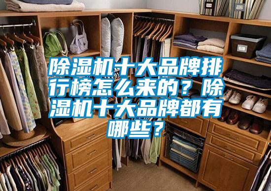 除濕機(jī)十大品牌排行榜怎么來的?除濕機(jī)十大品牌都有哪些?
