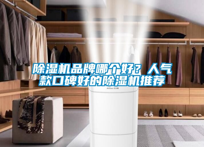 除濕機(jī)品牌哪個(gè)好？人氣款口碑好的除濕機(jī)推薦