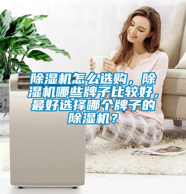 除濕機(jī)怎么選購(gòu)，除濕機(jī)哪些牌子比較好，最好選擇哪個(gè)牌子的除濕機(jī)？