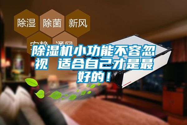 除濕機小功能不容忽視 適合自己才是最好的！