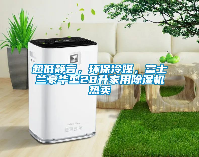 超低靜音，環(huán)保冷媒，富士蘭豪華型28升家用除濕機熱賣