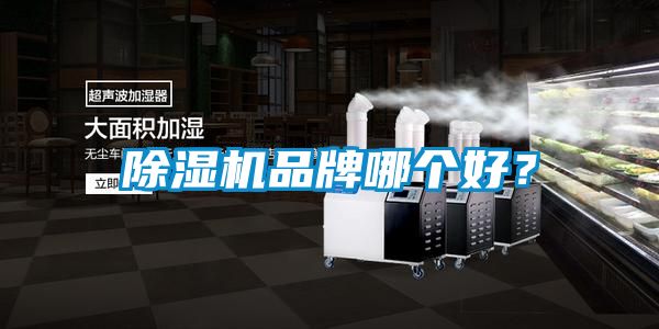 除濕機品牌哪個好？