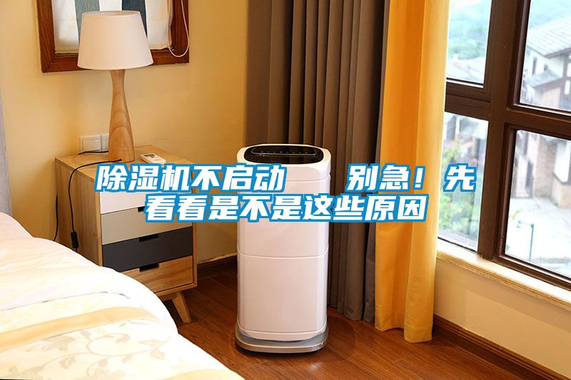 除濕機不啟動   別急！先看看是不是這些原因