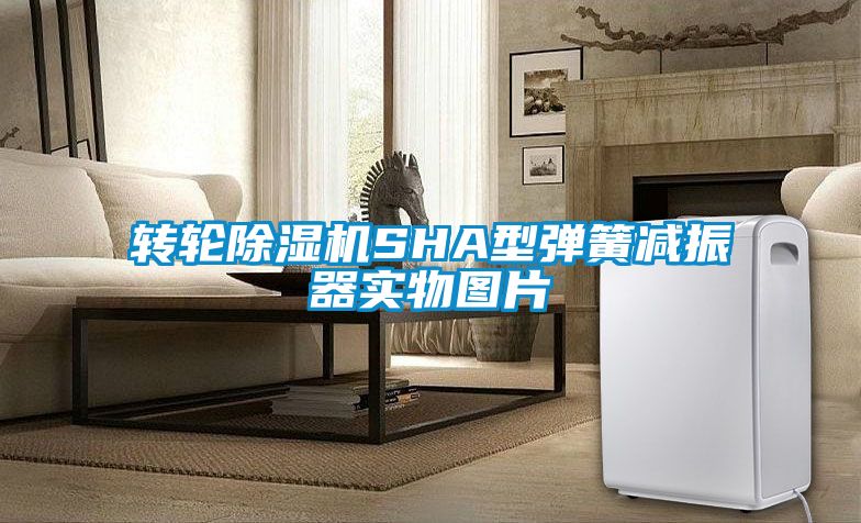 轉(zhuǎn)輪除濕機(jī)SHA型彈簧減振器實物圖片