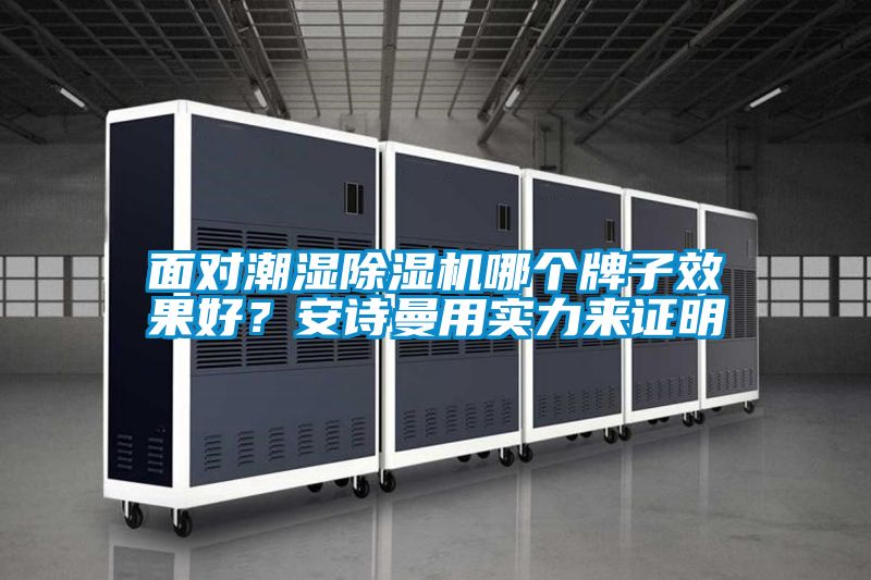 面對潮濕除濕機哪個牌子效果好？安詩曼用實力來證明