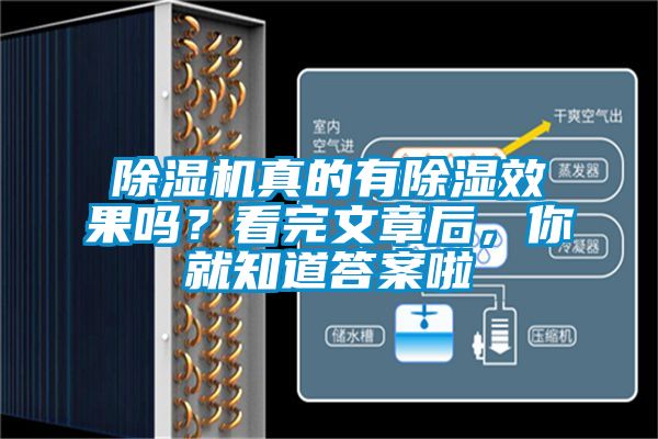 除濕機真的有除濕效果嗎？看完文章后，你就知道答案啦