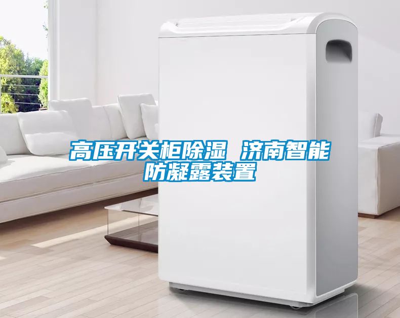 高壓開(kāi)關(guān)柜除濕 濟(jì)南智能防凝露裝置