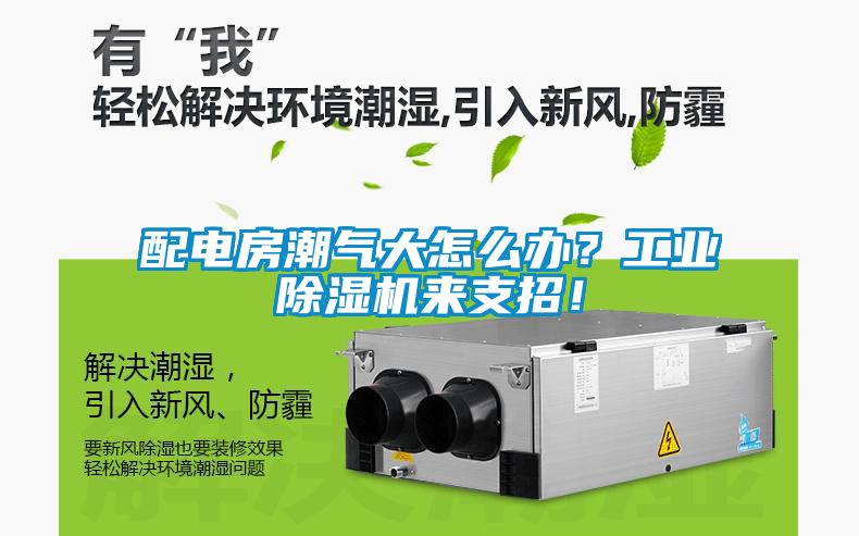 配電房潮氣大怎么辦？工業除濕機來支招！