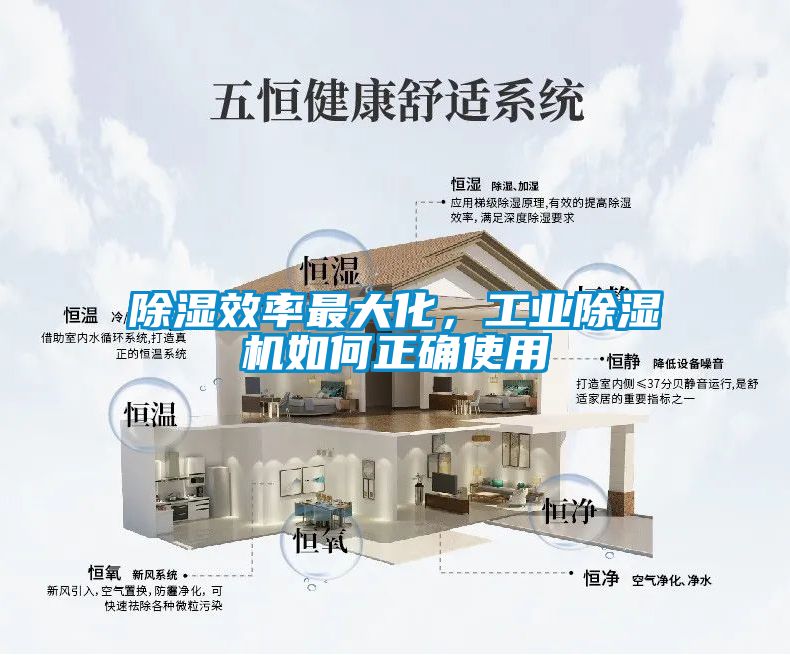 除濕效率最大化，工業除濕機如何正確使用