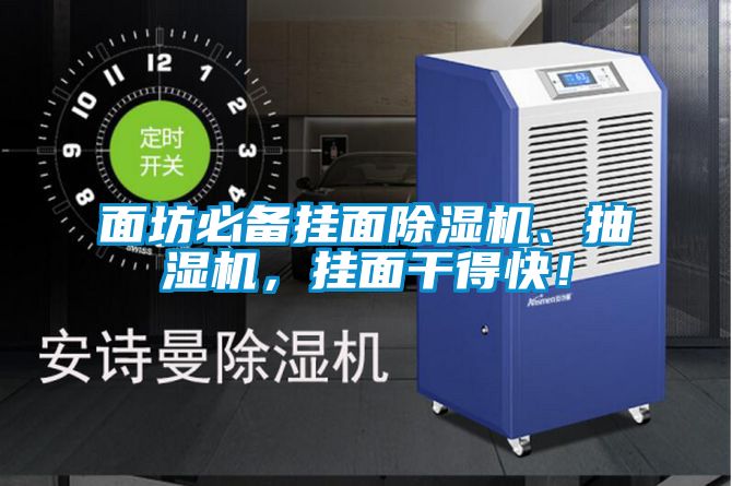 面坊必備掛面除濕機、抽濕機，掛面干得快！