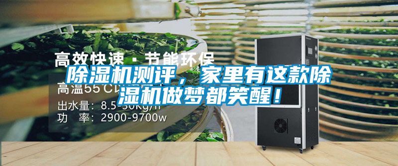 除濕機測評，家里有這款除濕機做夢都笑醒！
