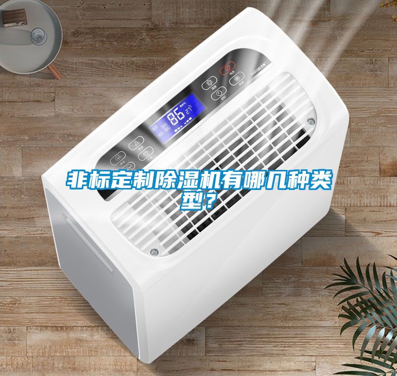 非標定制除濕機有哪幾種類型？