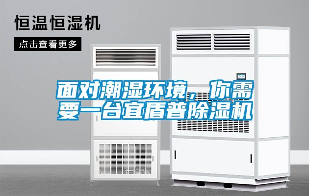 面對潮濕環境，你需要一臺宜盾普除濕機